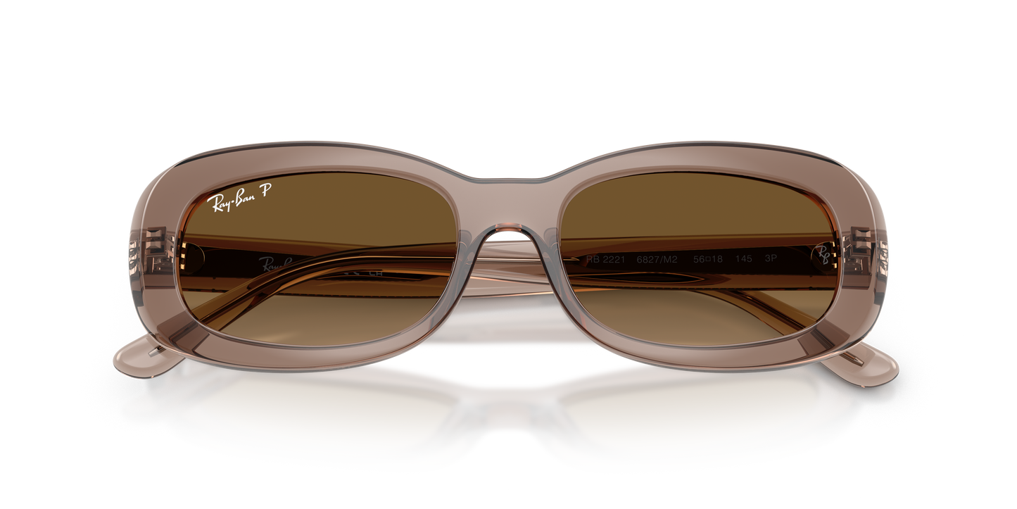 Ray-Ban RB2221 Sunglasses - Oval Injected Frame