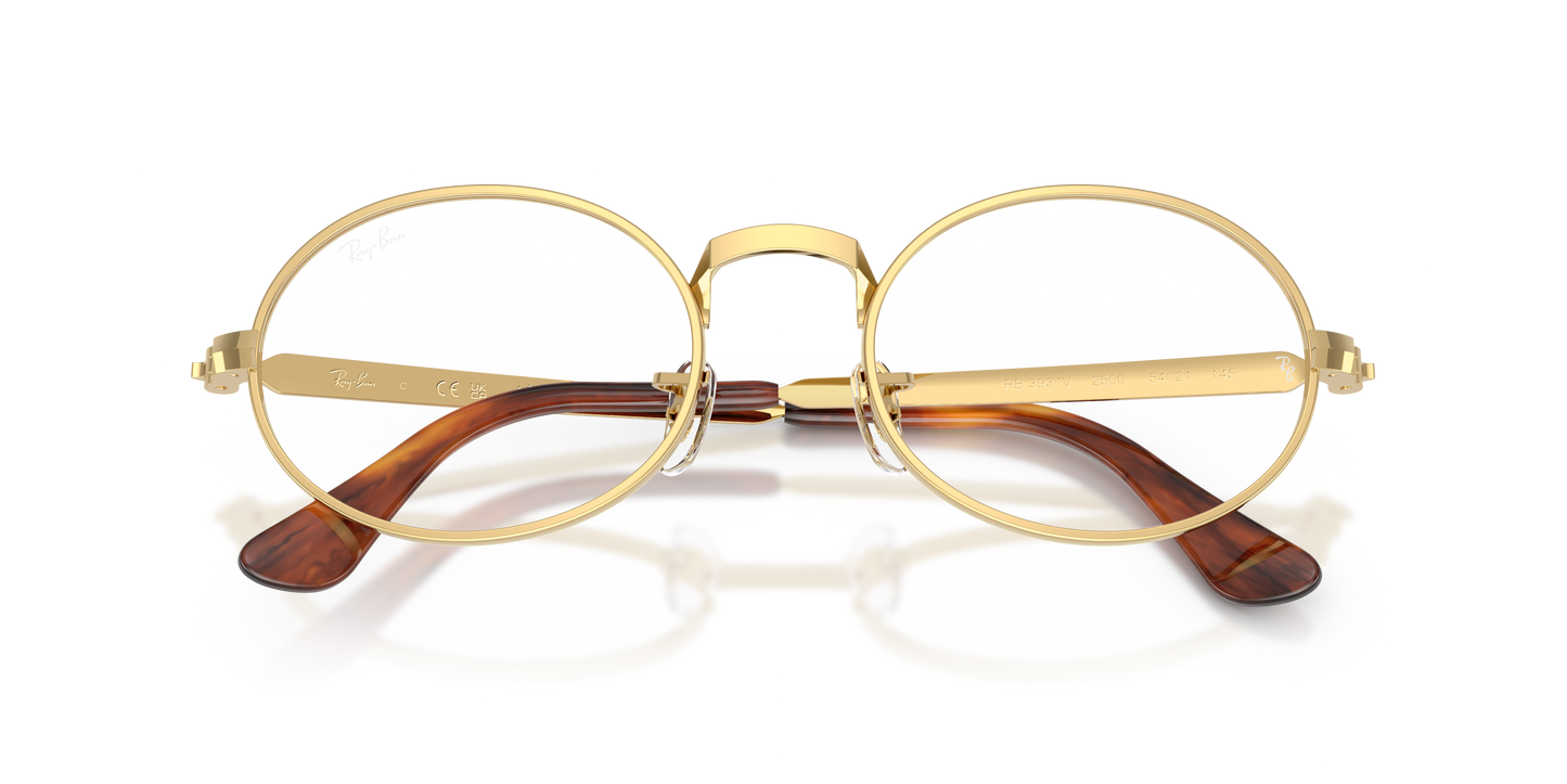 Ray-Ban RB3931V by A$AP Rocky Eyeglasses - Oval Metal Frame
