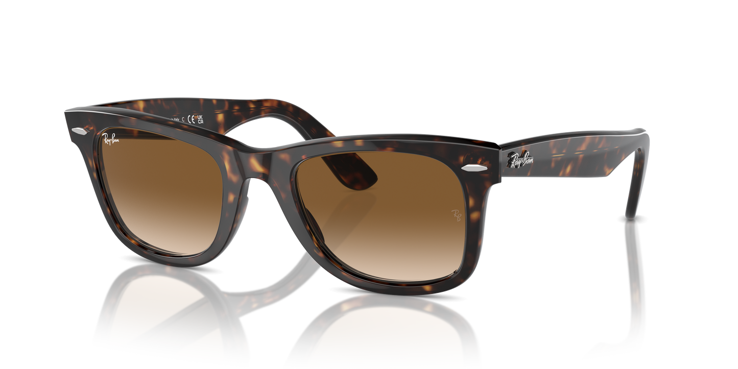 Ray-Ban RB2140 Original Wayfarer Classic Sunglasses - Square Acetate Frame
