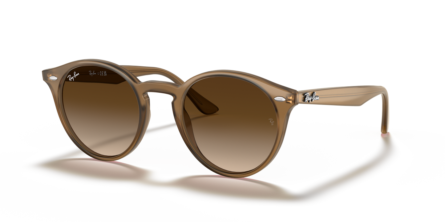 Ray-Ban RB2180 Sunglasses - Round Acetate Frame