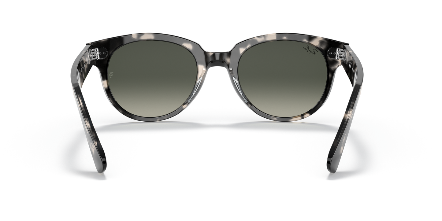 Ray-Ban RB2199 Orion Sunglasses - Square Acetate Frame