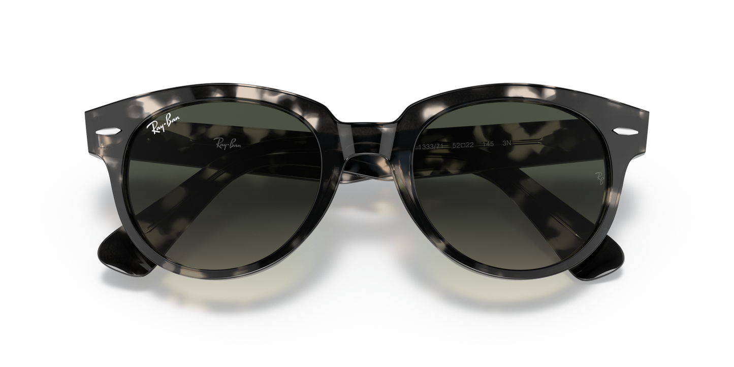 Ray-Ban RB2199 Orion Sunglasses - Square Acetate Frame