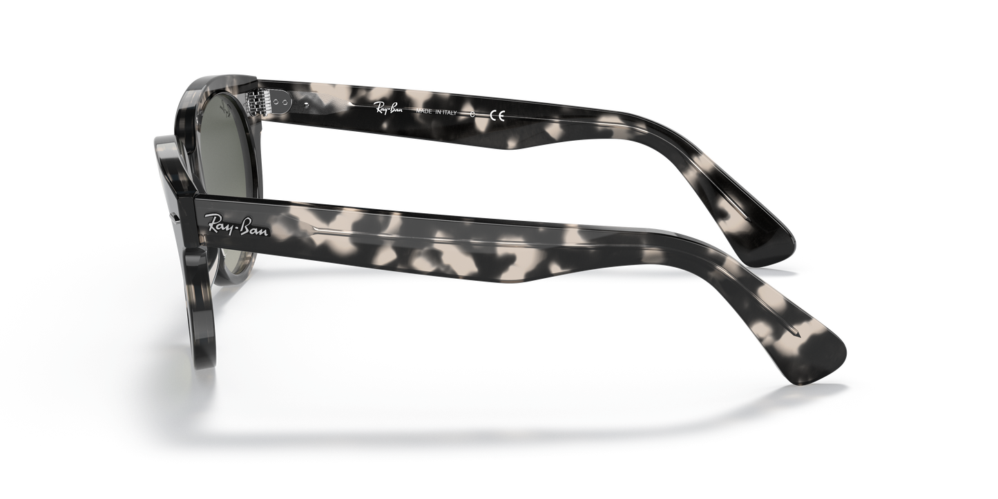 Ray-Ban RB2199 Orion Sunglasses - Square Acetate Frame