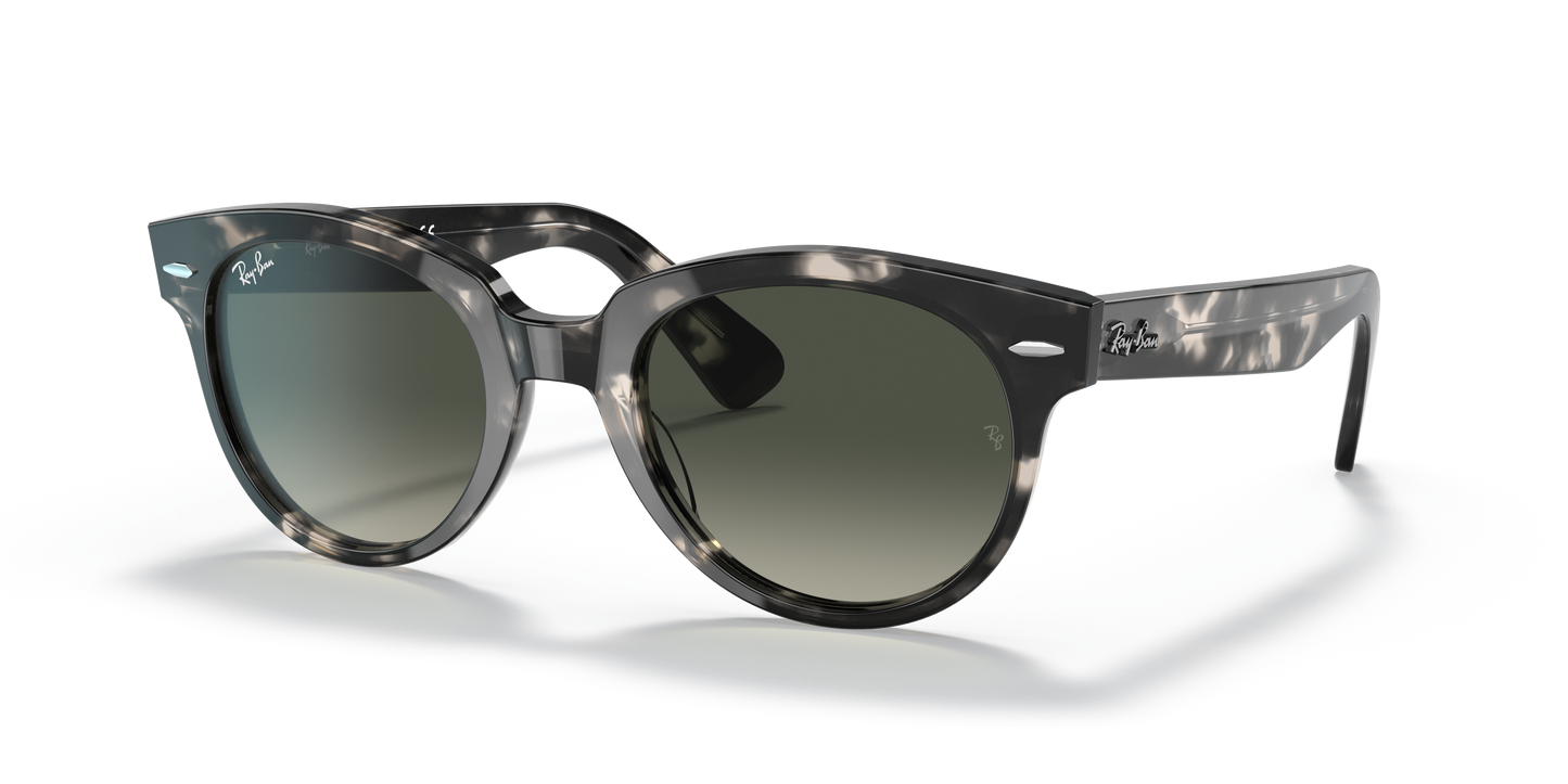 Ray-Ban RB2199 Orion Sunglasses - Square Acetate Frame