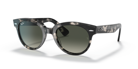 Ray-Ban RB2199 Orion Sunglasses - Square Acetate Frame