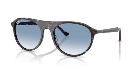 Ray-Ban RB2215 Sunglasses - Square Acetate Frame