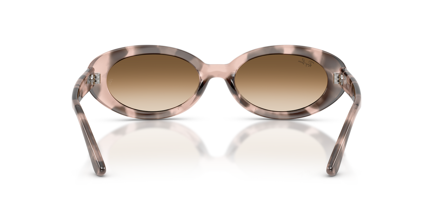 Ray-Ban RB2223 Sunglasses - Oval Injected Frame
