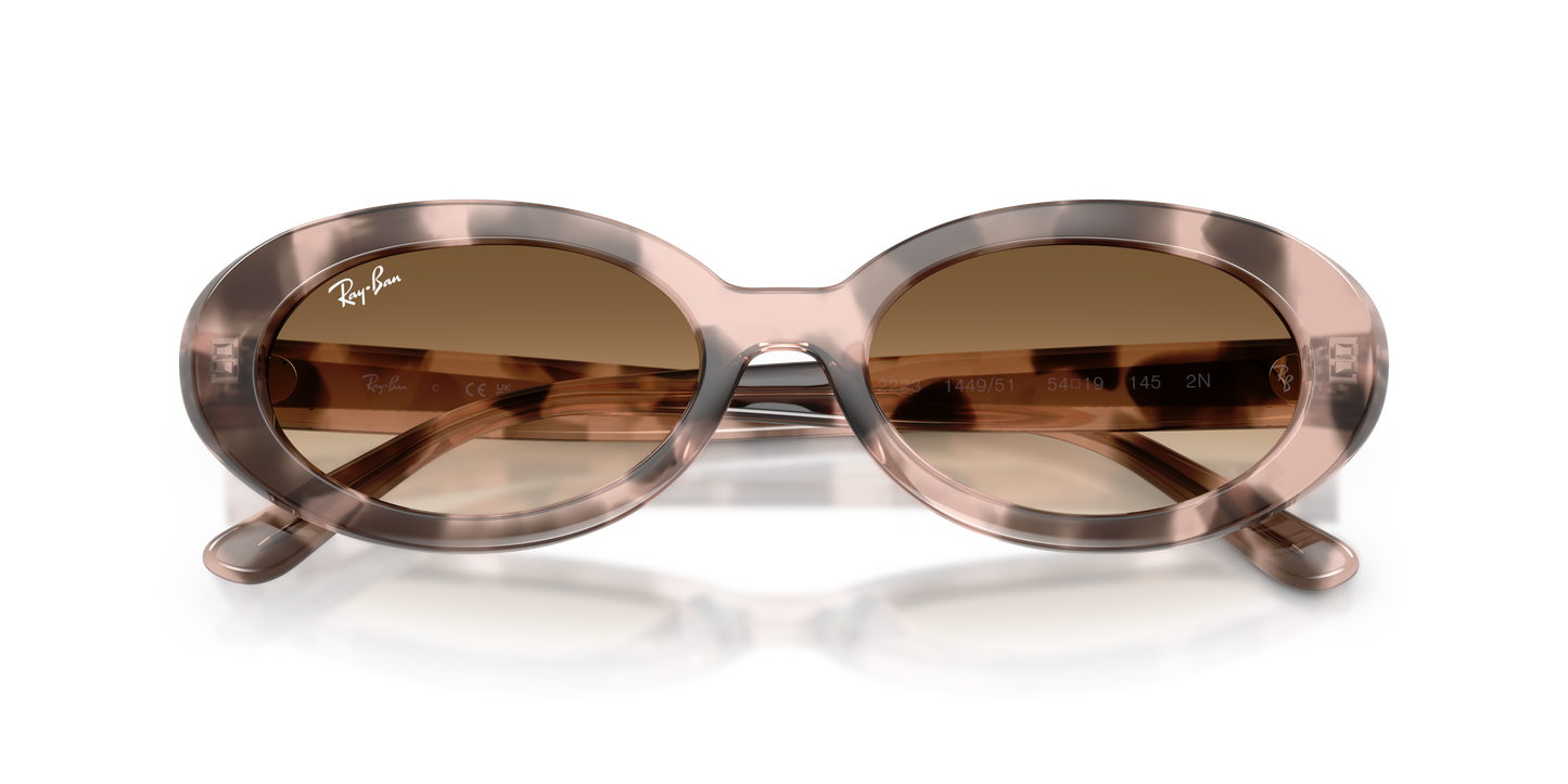 Ray-Ban RB2223 Sunglasses - Oval Injected Frame
