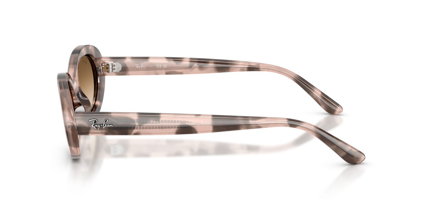 Ray-Ban RB2223 Sunglasses - Oval Injected Frame