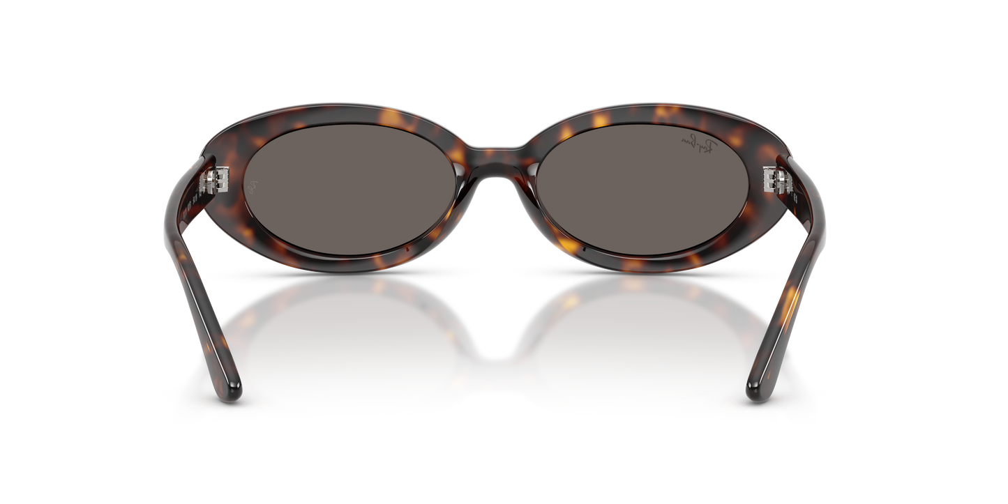 Ray-Ban RB2223 Sunglasses - Oval Injected Frame