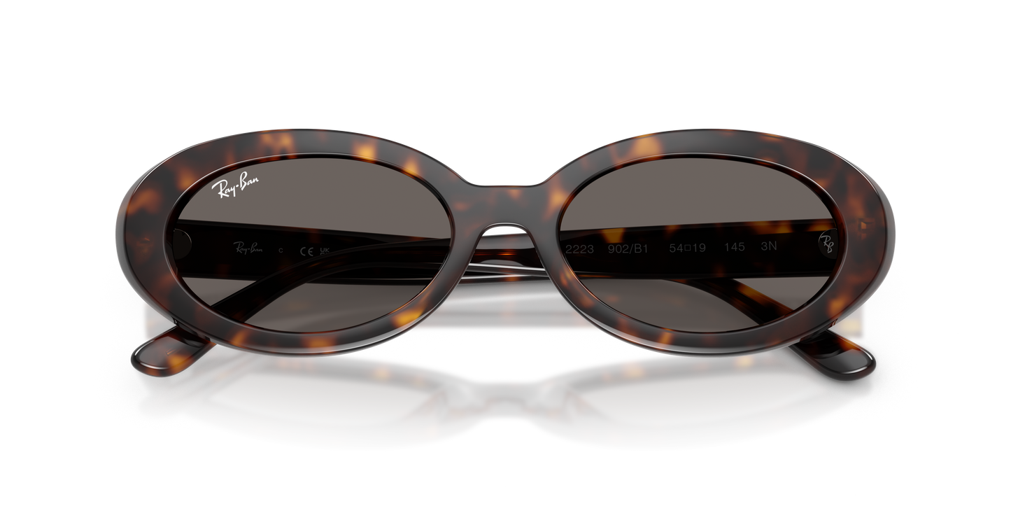 Ray-Ban RB2223 Sunglasses - Oval Injected Frame