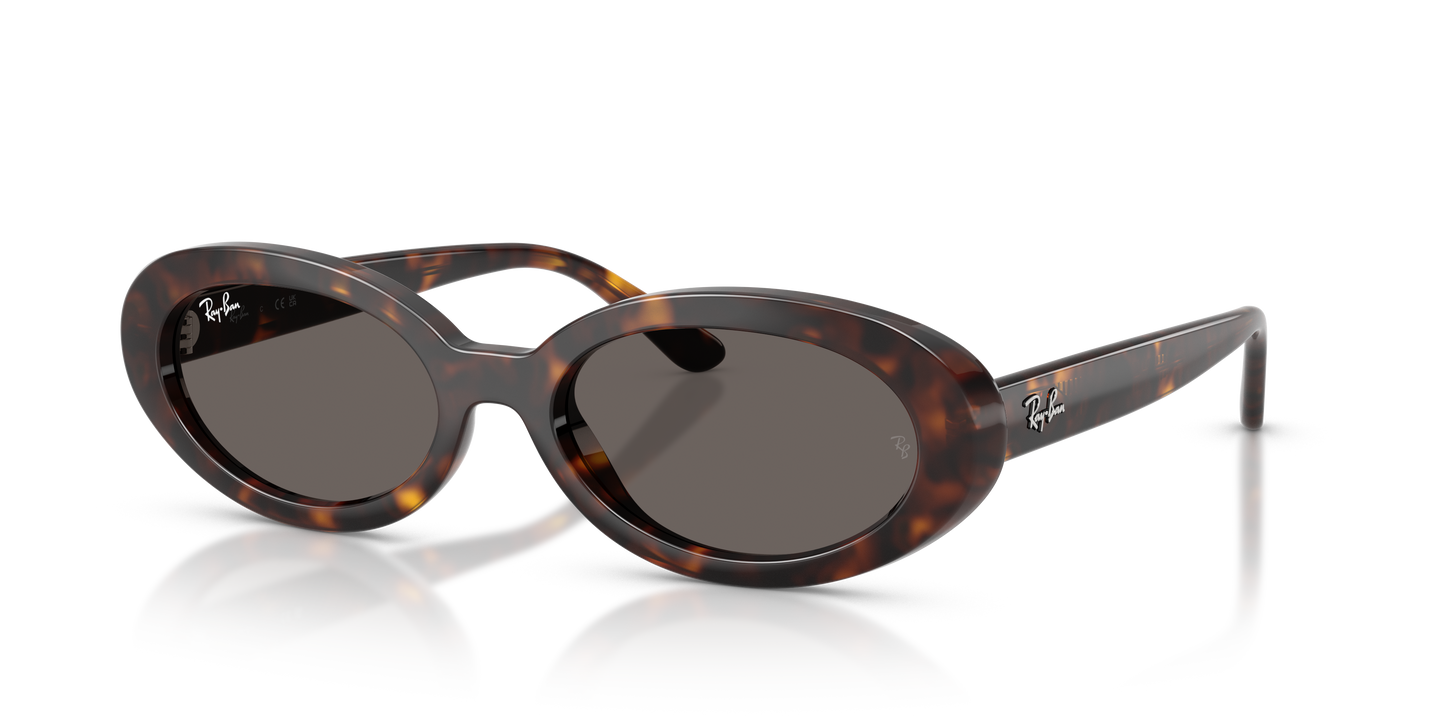 Ray-Ban RB2223 Sunglasses - Oval Injected Frame