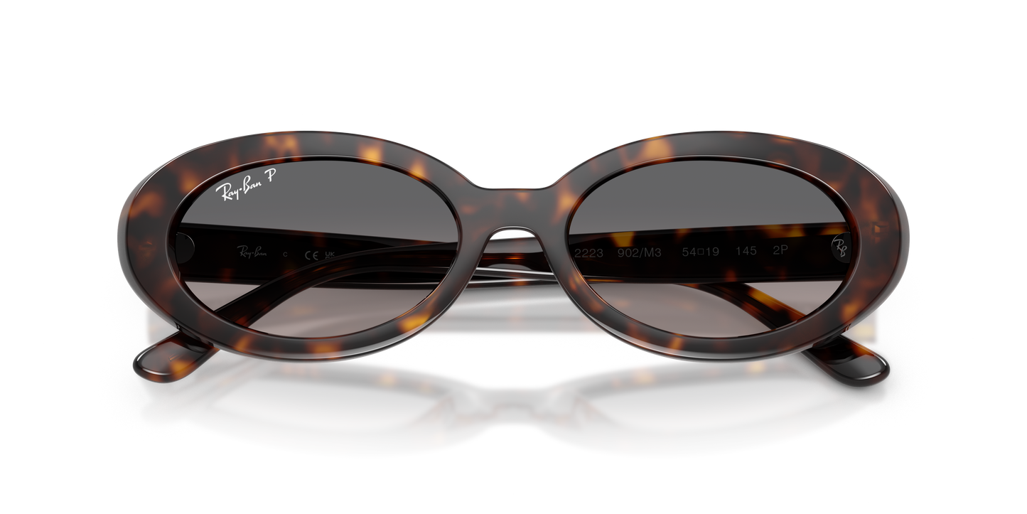 Ray-Ban RB2223 Sunglasses - Oval Injected Frame