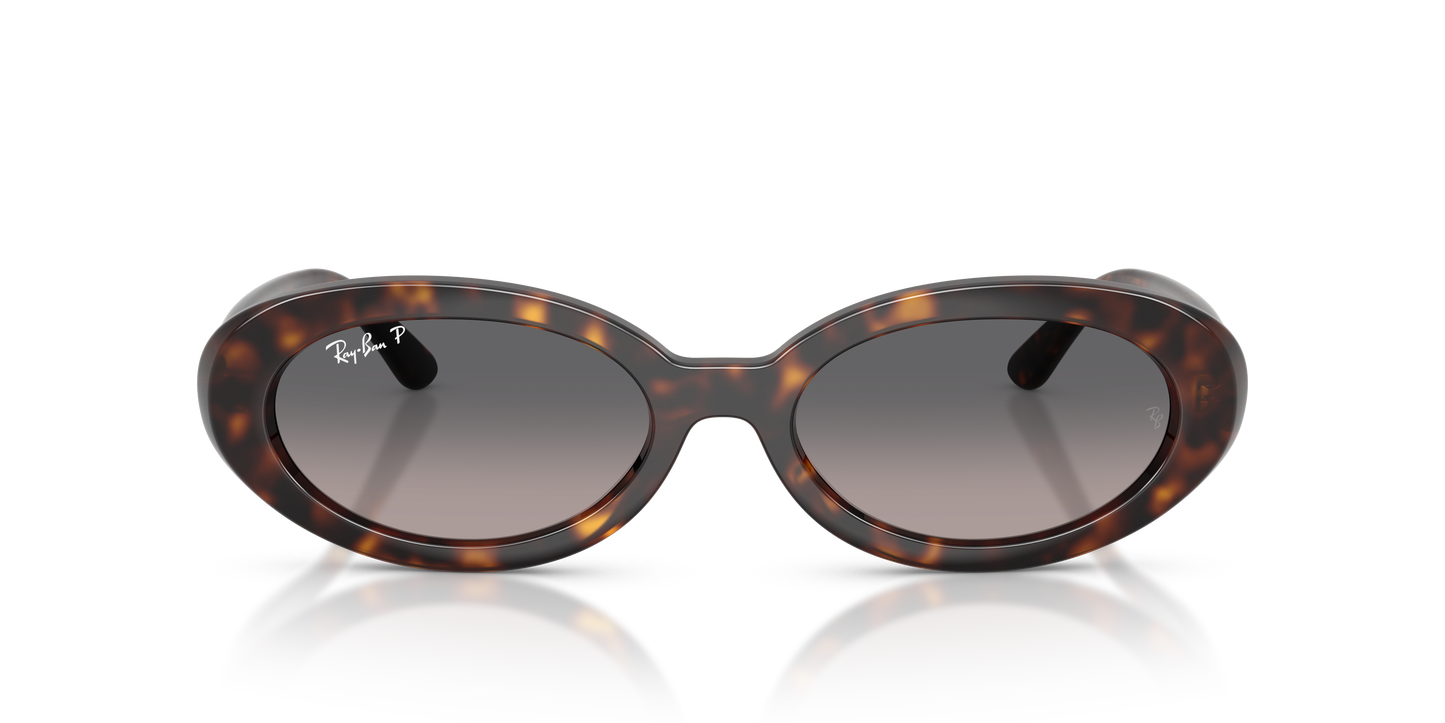 Ray-Ban RB2223 Sunglasses - Oval Injected Frame