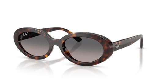 Ray-Ban RB2223 Sunglasses - Oval Injected Frame