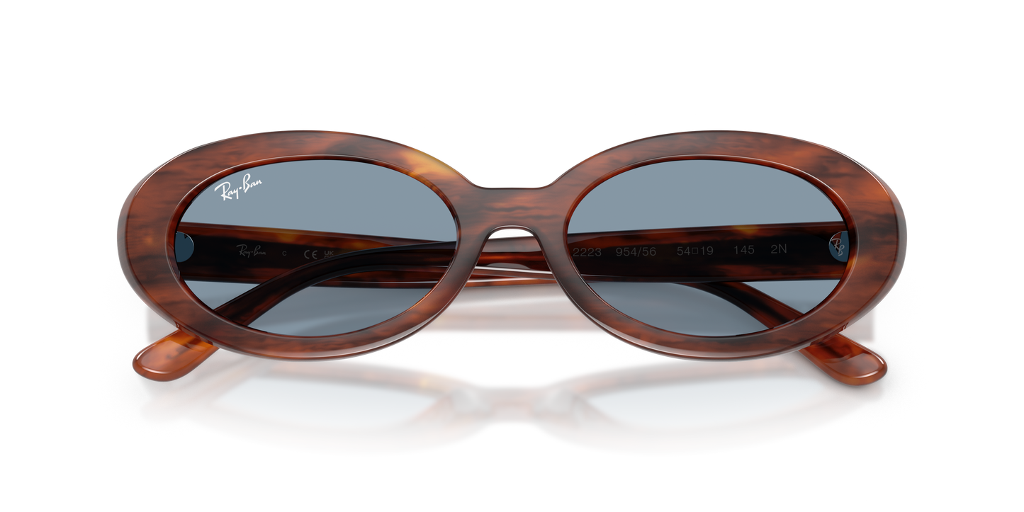 Ray-Ban RB2223 Sunglasses - Oval Injected Frame