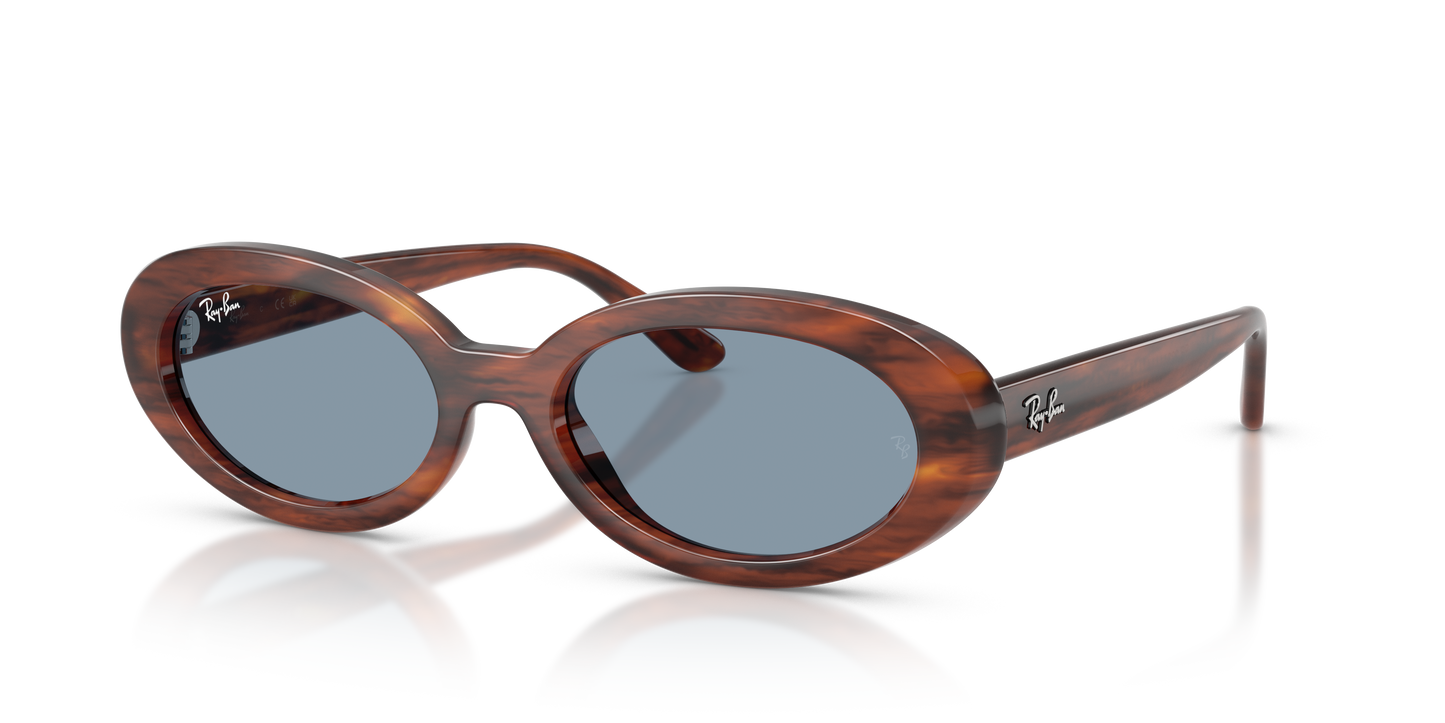 Ray-Ban RB2223 Sunglasses - Oval Injected Frame