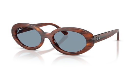 Ray-Ban RB2223 Sunglasses - Oval Injected Frame