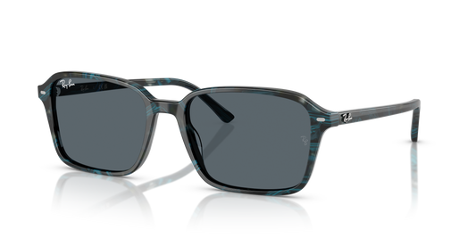 Ray-Ban RB2231 Raimond Sunglasses - Square Acetate Frame