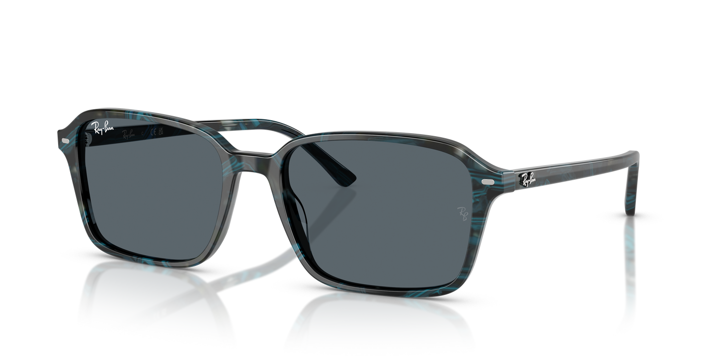 Ray-Ban RB2231 Raimond Sunglasses - Square Acetate Frame