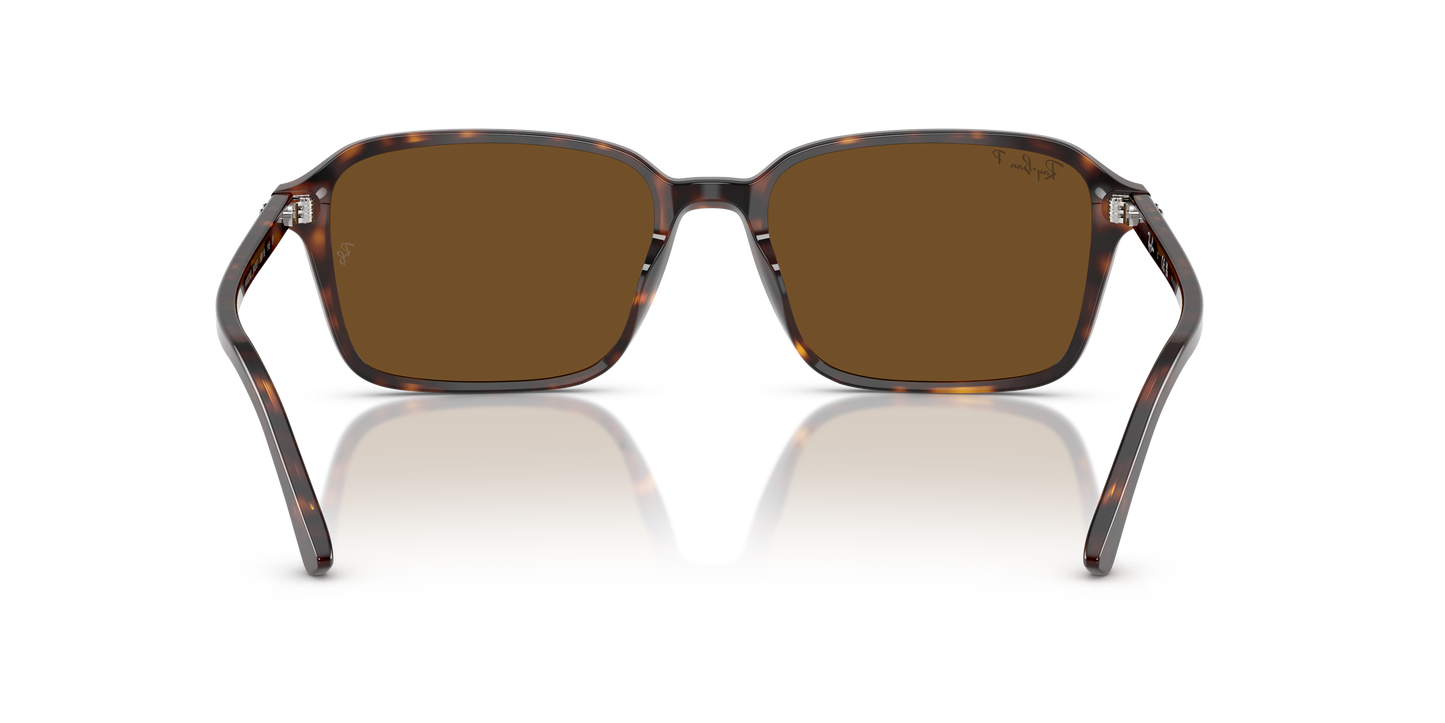 Ray-Ban RB2231 Raimond Sunglasses - Square Acetate Frame