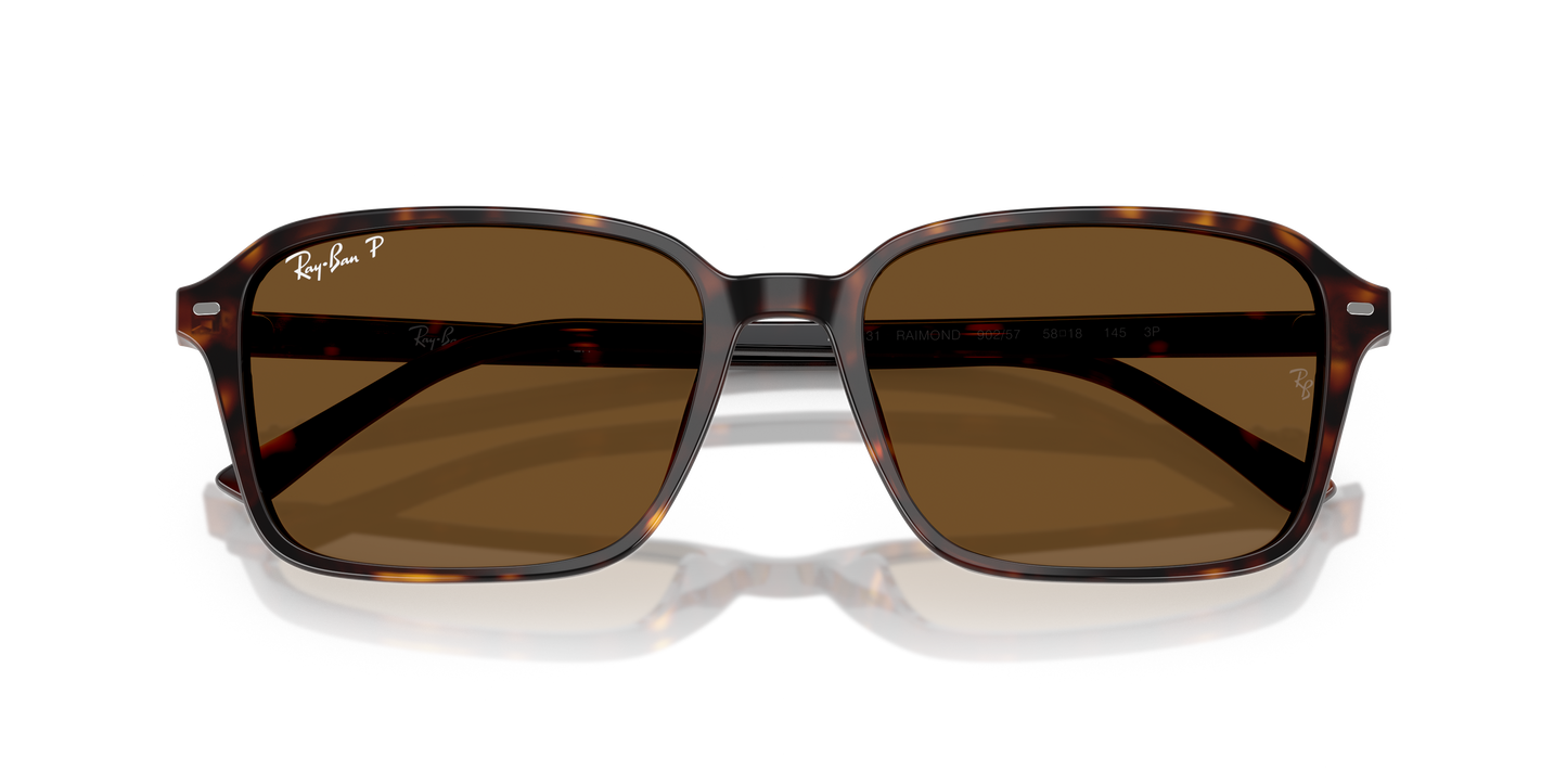 Ray-Ban RB2231 Raimond Sunglasses - Square Acetate Frame