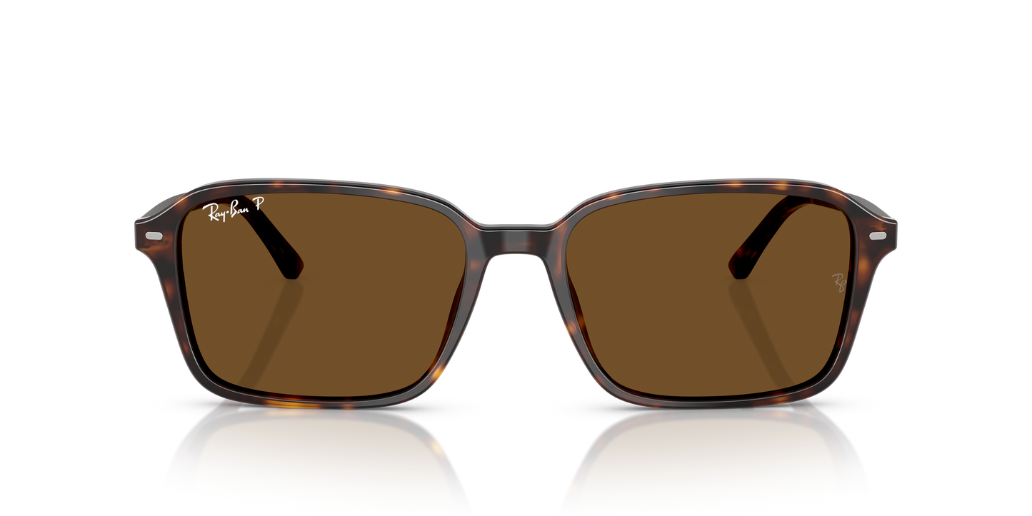 Ray-Ban RB2231 Raimond Sunglasses - Square Acetate Frame