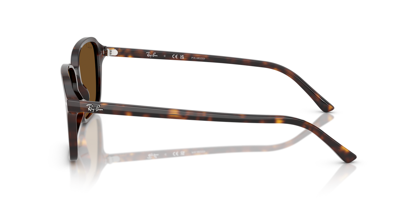 Ray-Ban RB2231 Raimond Sunglasses - Square Acetate Frame