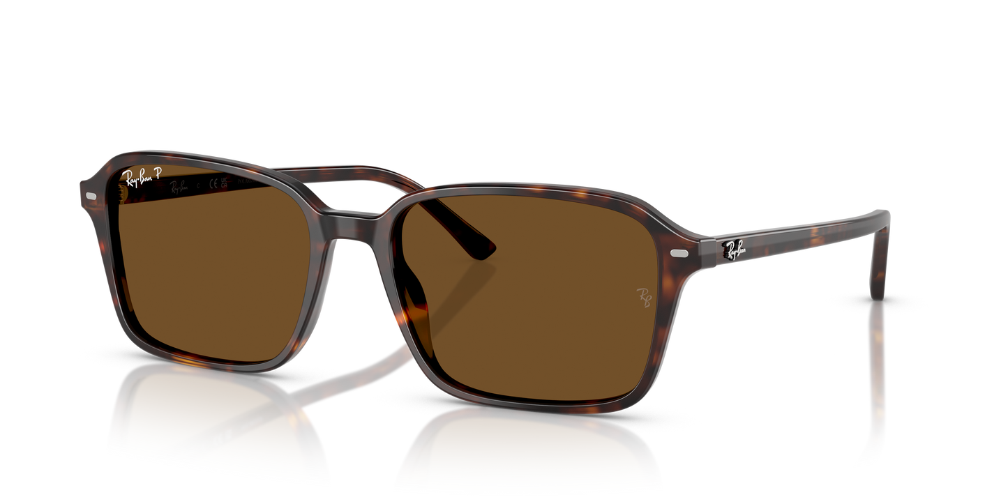 Ray-Ban RB2231 Raimond Sunglasses - Square Acetate Frame