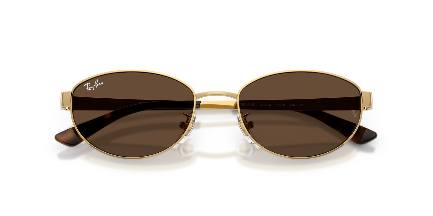 Ray-Ban RB3774D Sunglasses - Oval Metal Frame