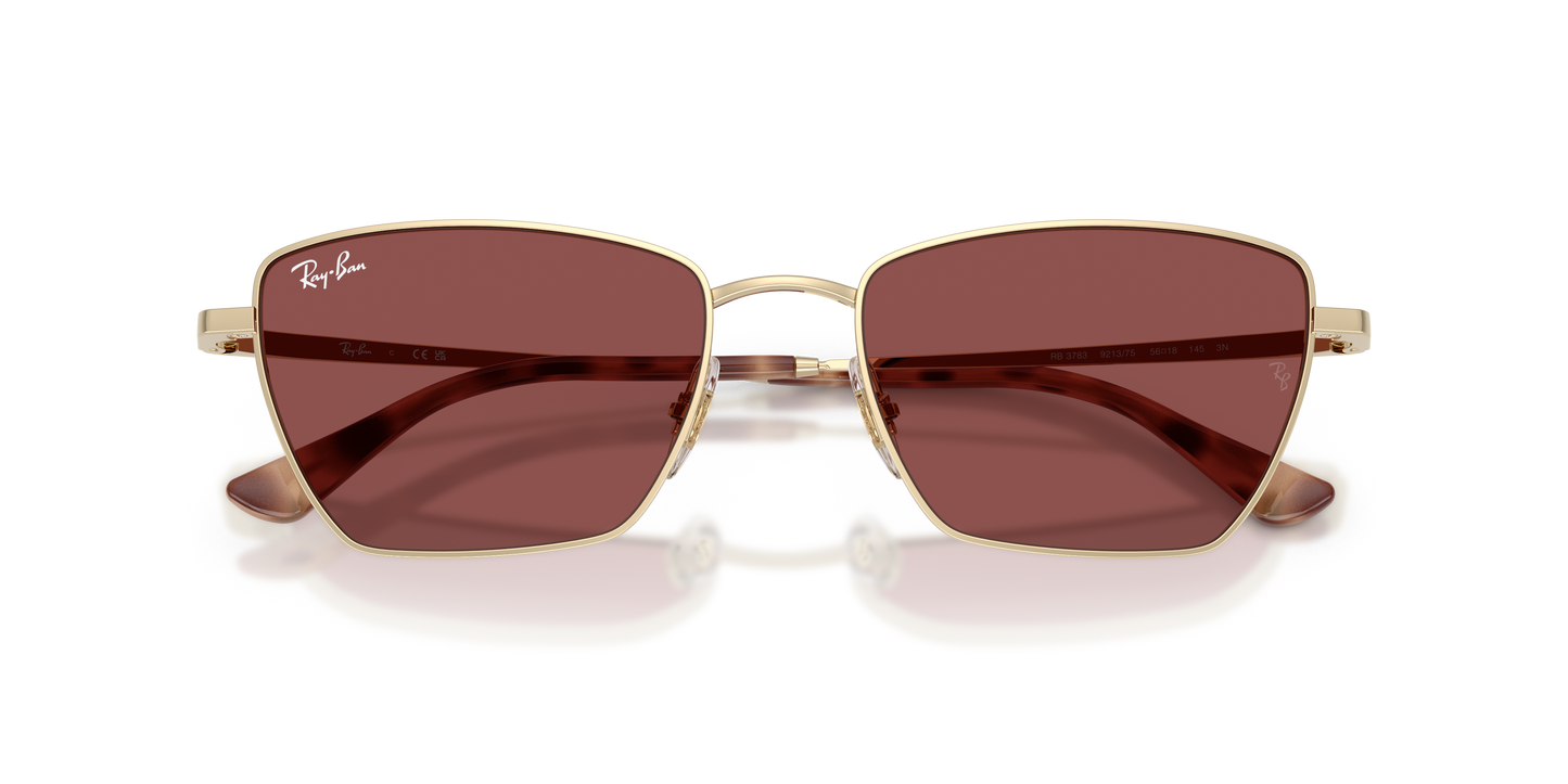 Ray-Ban RB3783 Drea Bio-Based Sunglasses - Geometric Metal Frame