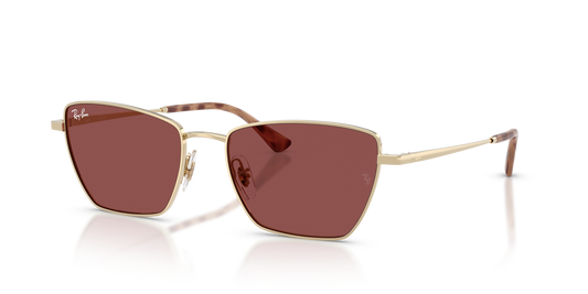 Ray-Ban RB3783 Drea Bio-Based Sunglasses - Geometric Metal Frame