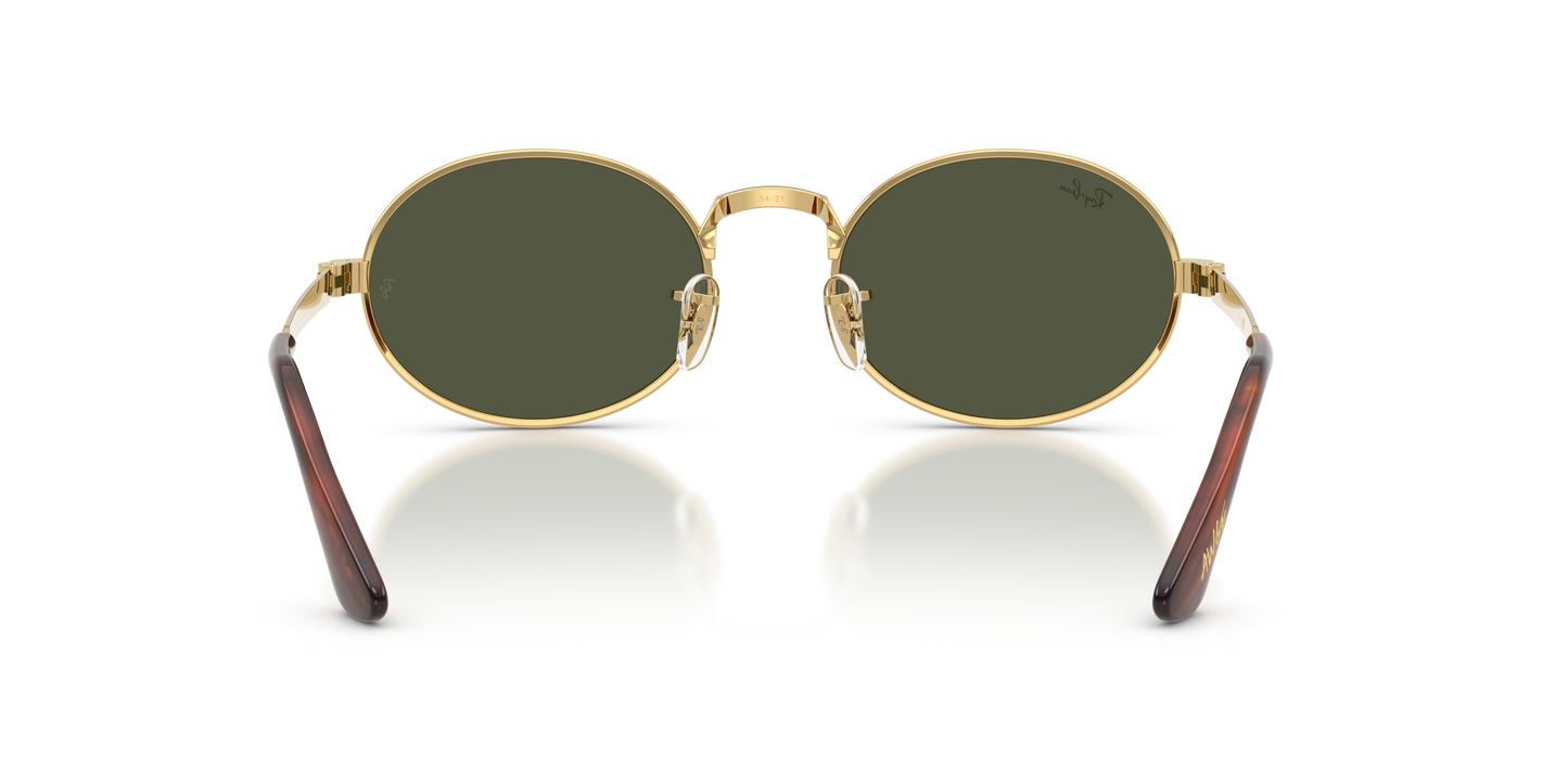 Ray-Ban RB3931 by A$AP Rocky Sunglasses - Oval Metal Frame