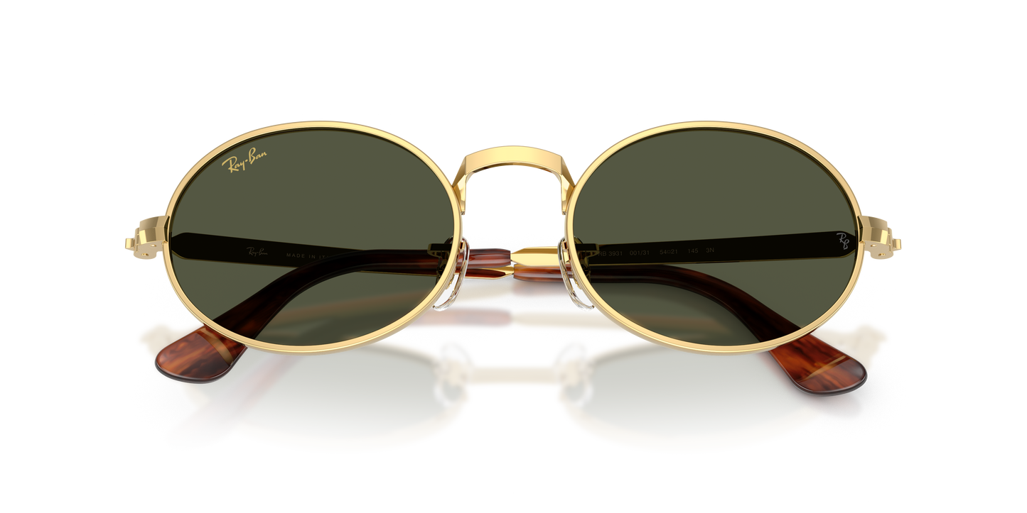 Ray-Ban RB3931 by A$AP Rocky Sunglasses - Oval Metal Frame