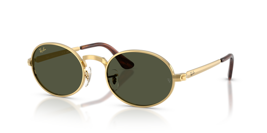 Ray-Ban RB3931 by A$AP Rocky Sunglasses - Oval Metal Frame