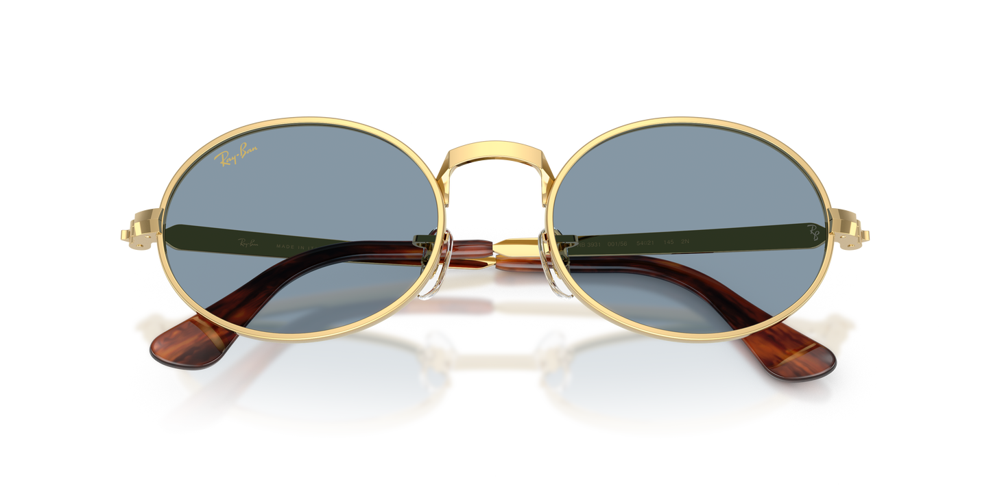 Ray-Ban RB3931 by A$AP Rocky Sunglasses - Oval Metal Frame