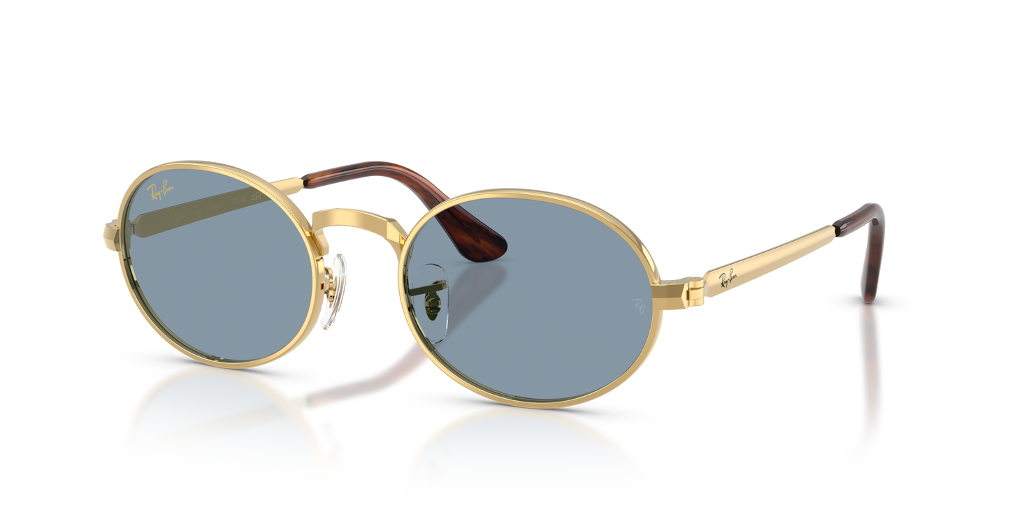 Ray-Ban RB3931 by A$AP Rocky Sunglasses - Oval Metal Frame