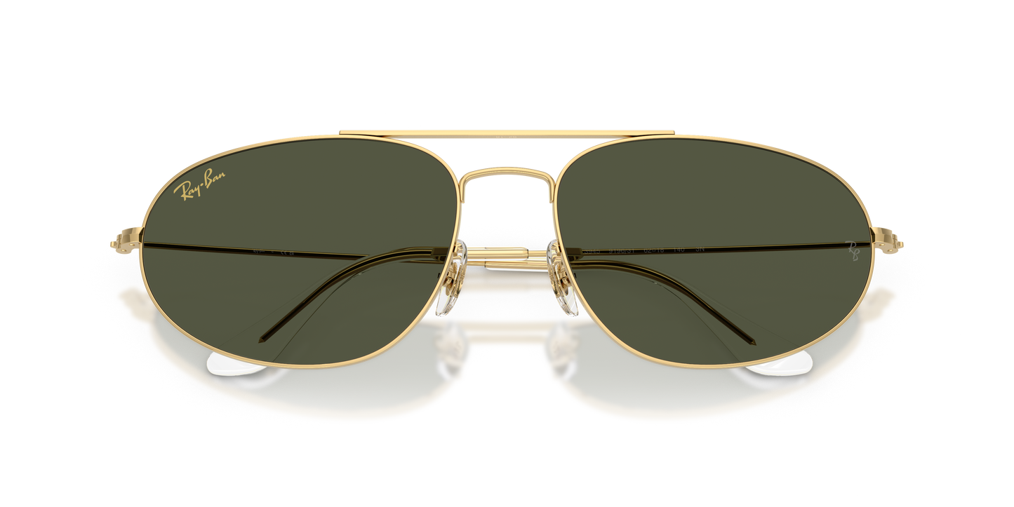 Ray-Ban RB3945 Explorer IV Sunglasses - Geometric Metal Frame