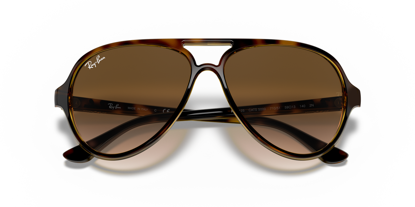 Ray-Ban RB4125 Cats 5000 Classic Sunglasses - Aviator Nylon Frame