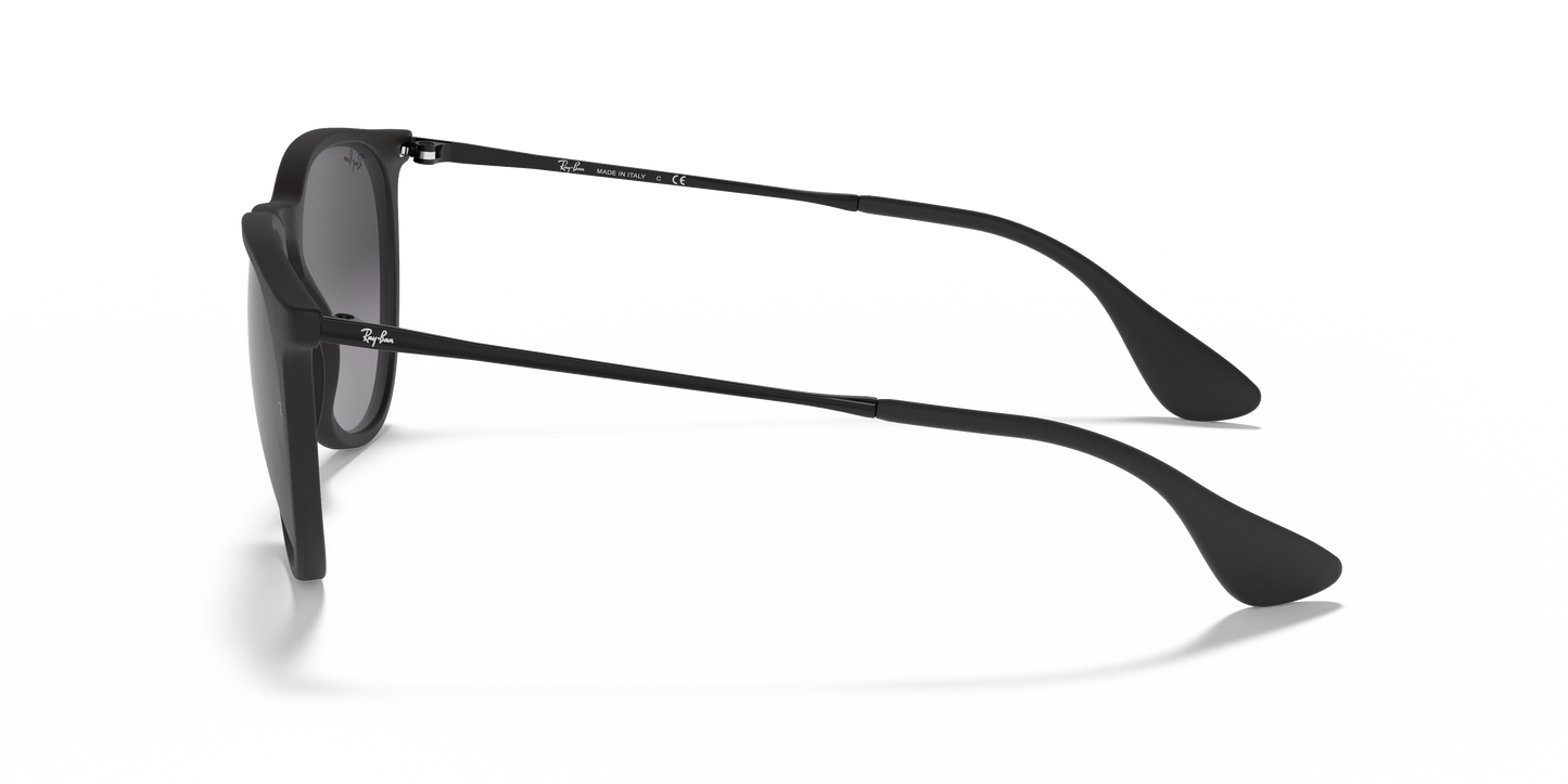Ray-Ban RB4171 Erika Classic Sunglasses - Phantos Injected Frame