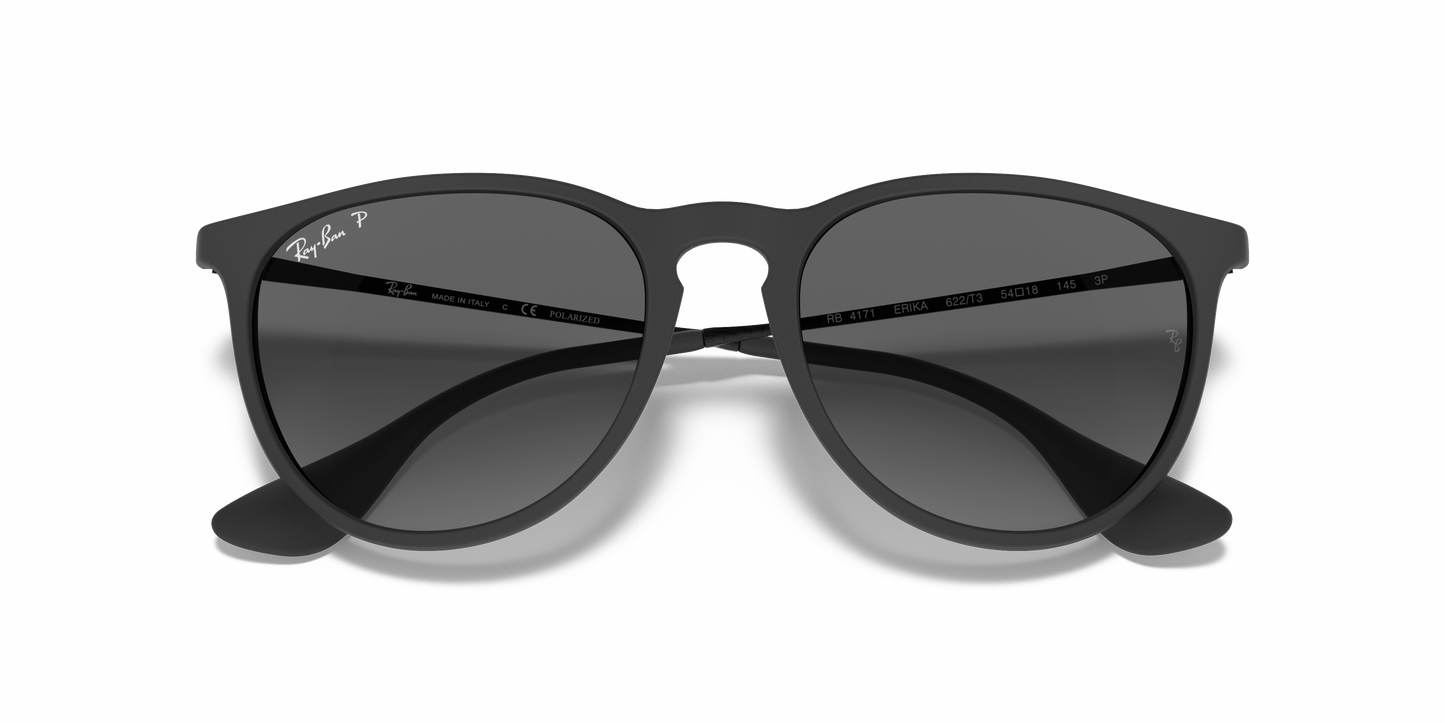 Ray-Ban RB4171 Erika Color Mix Sunglasses - Phantos Nylon Frame