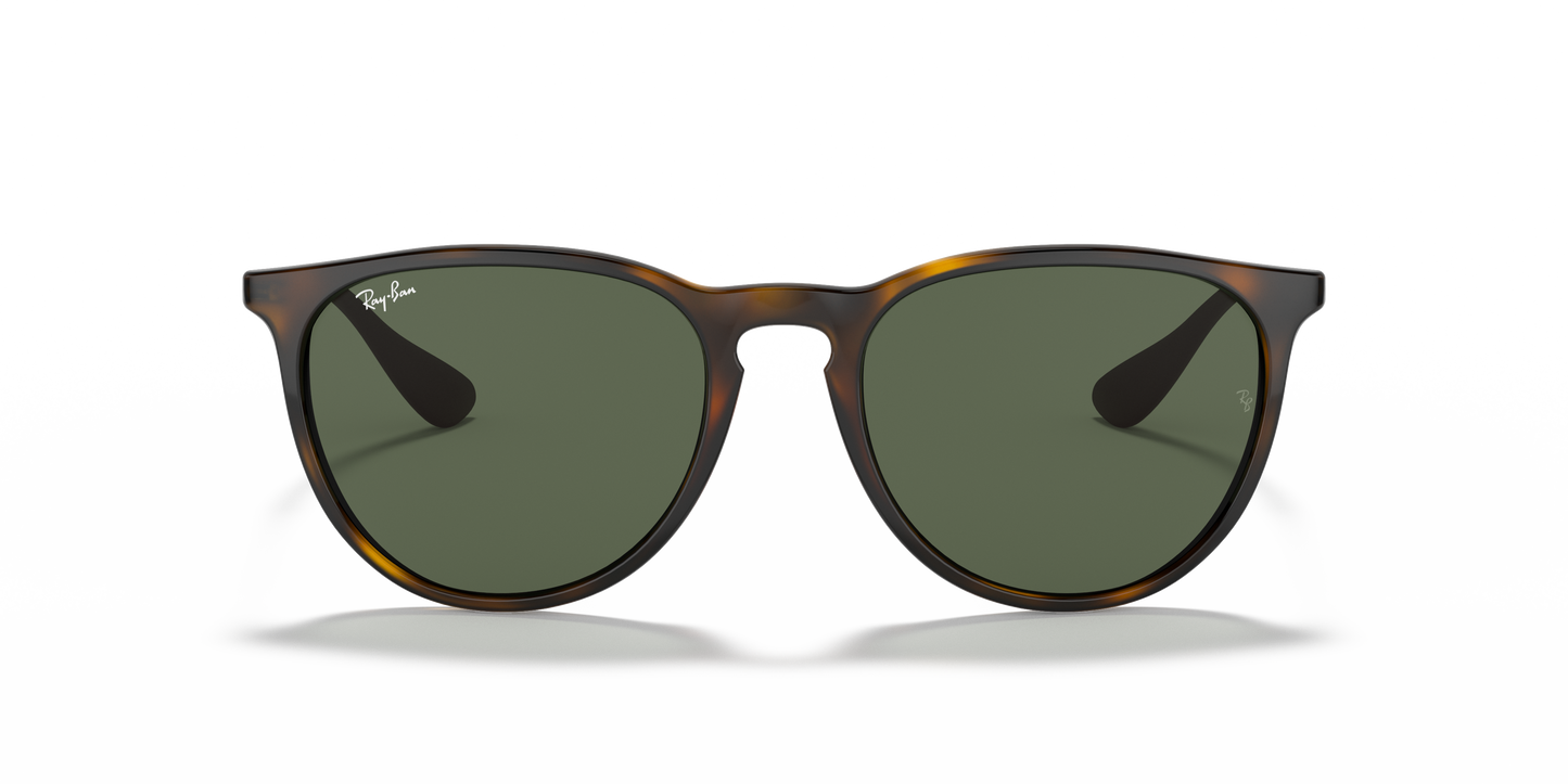 Ray-Ban RB4171 Erika Classic Sunglasses - Phantos Injected Frame