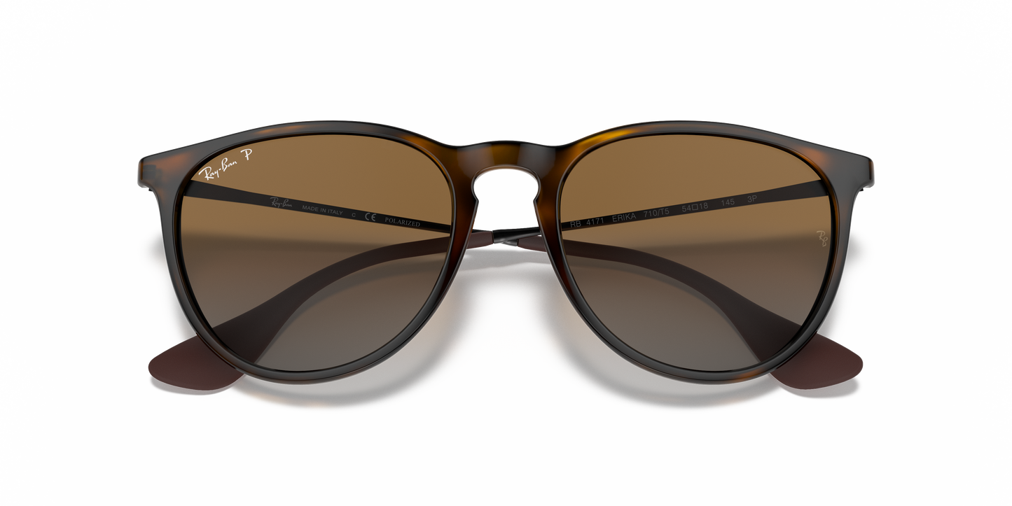 Ray-Ban RB4171 Erika Classic Sunglasses - Phantos Nylon Frame