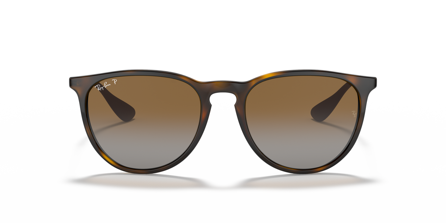 Ray-Ban RB4171 Erika Classic Sunglasses - Phantos Injected Frame