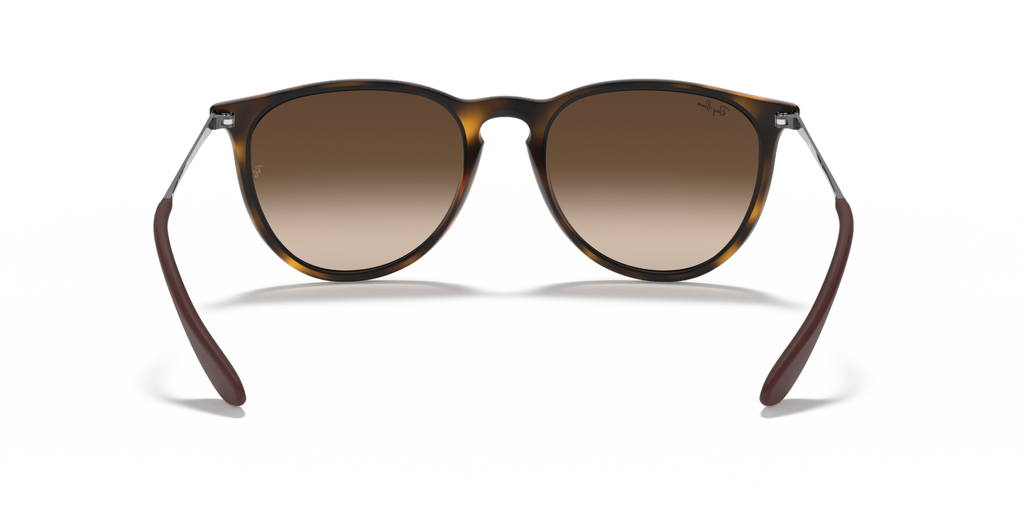 Ray-Ban RB4171 Erika Classic Sunglasses - Phantos Injected Frame