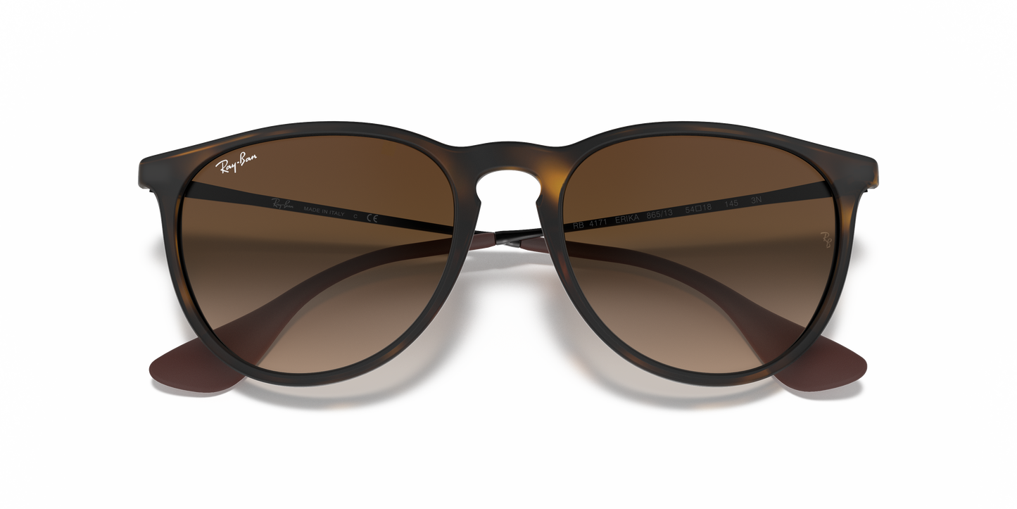 Ray-Ban RB4171 Erika Classic Sunglasses - Phantos Injected Frame