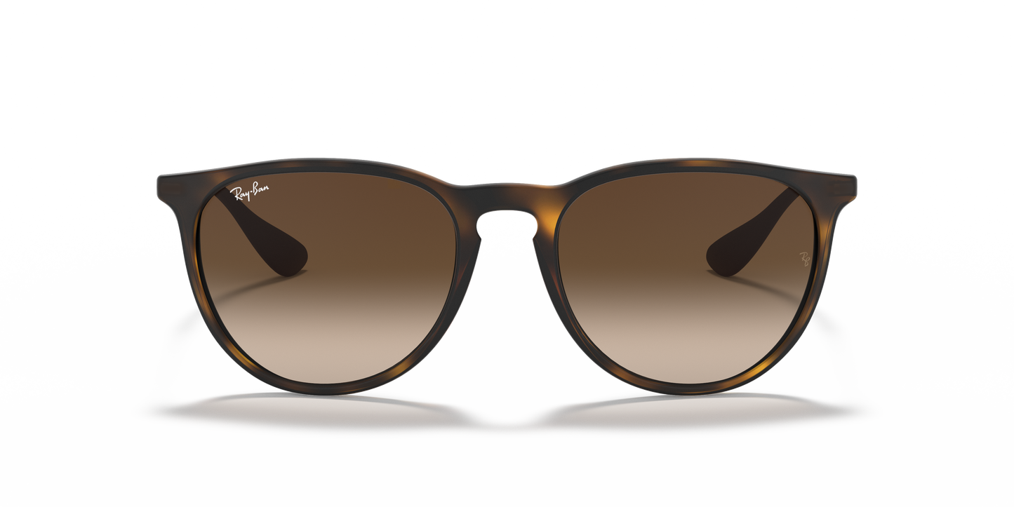 Ray-Ban RB4171 Erika Classic Sunglasses - Phantos Injected Frame