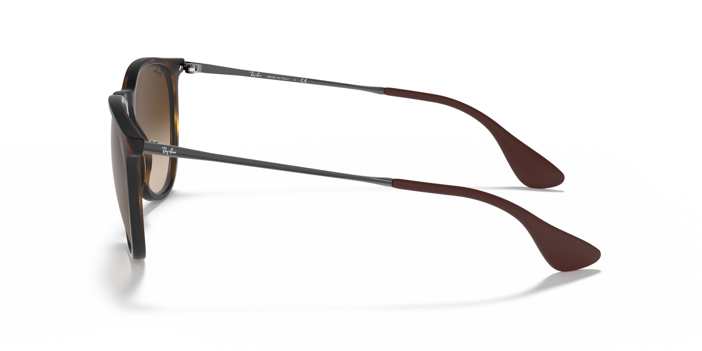 Ray-Ban RB4171 Erika Classic Sunglasses - Phantos Nylon Frame