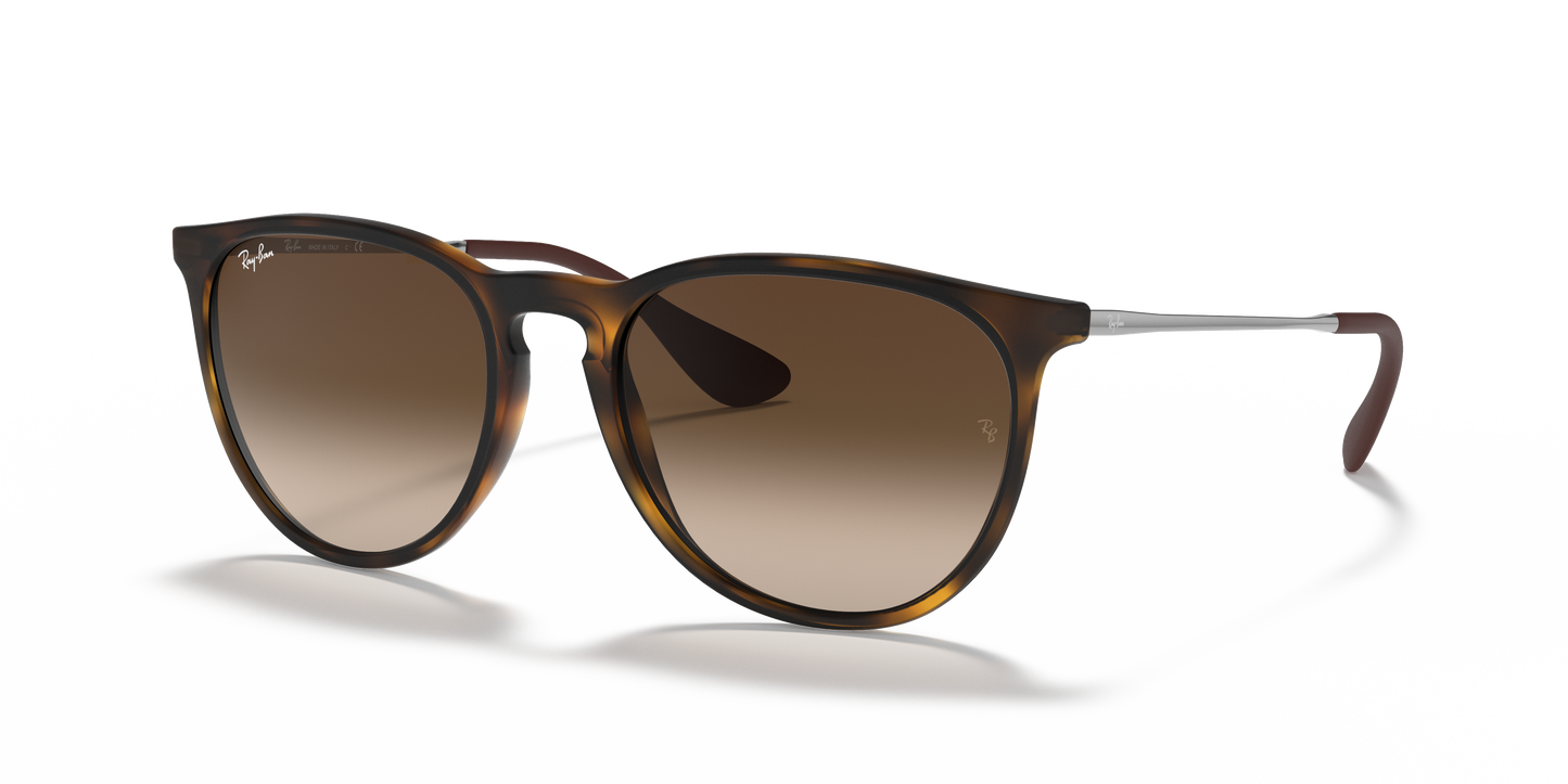 Ray-Ban RB4171 Erika Classic Sunglasses - Phantos Injected Frame