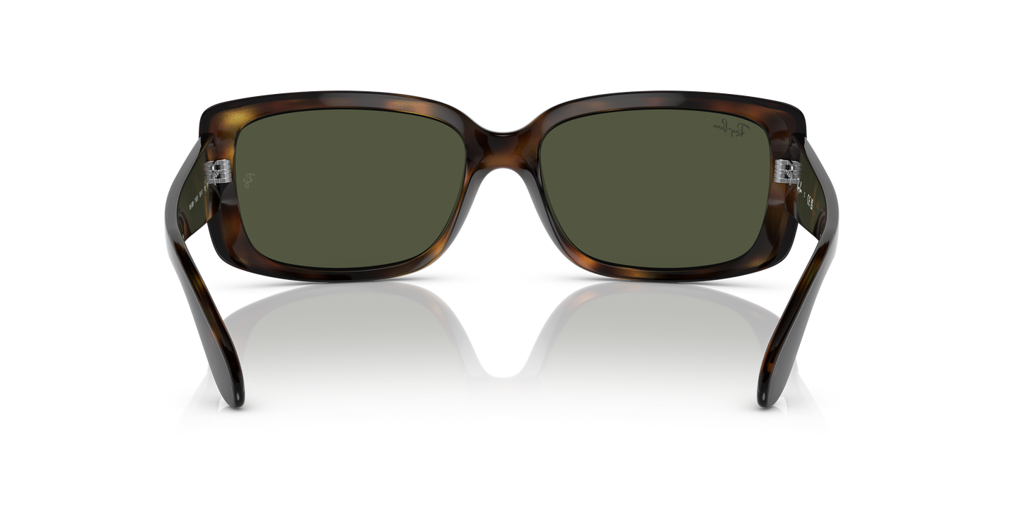 Ray-Ban RB4389 Sunglasses - Pillow Injected Frame